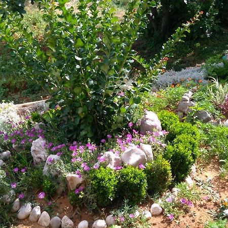 Megi1 Διαμέρισμα Vrbnik Εξωτερικό φωτογραφία