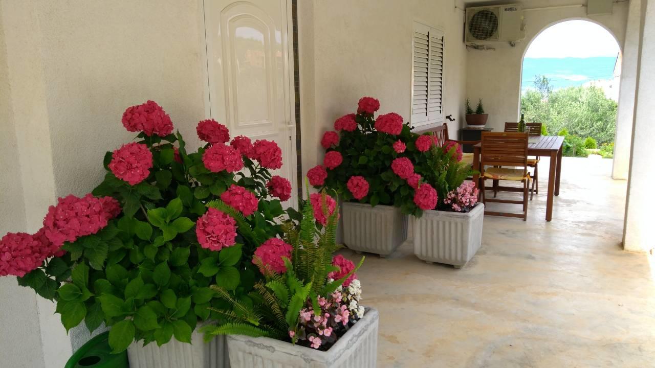 Megi1 Διαμέρισμα Vrbnik Εξωτερικό φωτογραφία